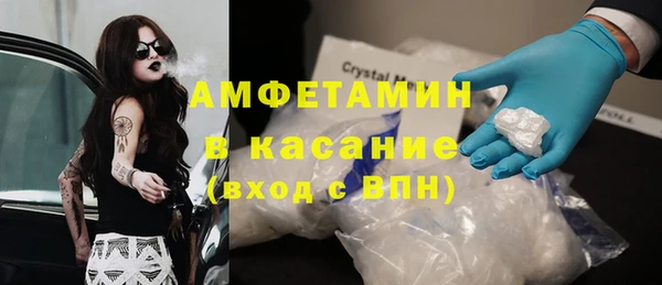 гидра Вязьма