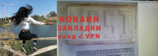 гидра Вязьма