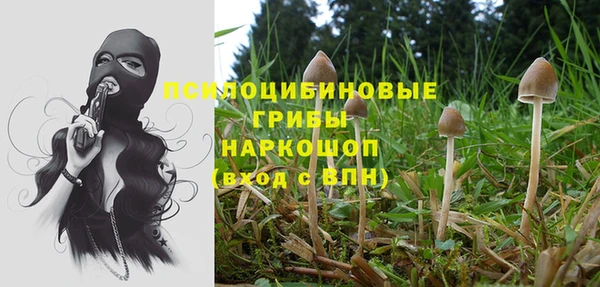 винт Уссурийск