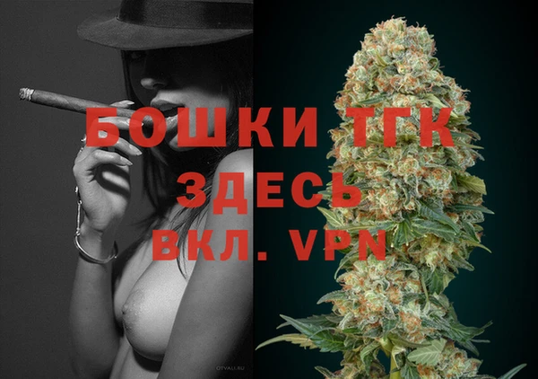 гидра Вязьма