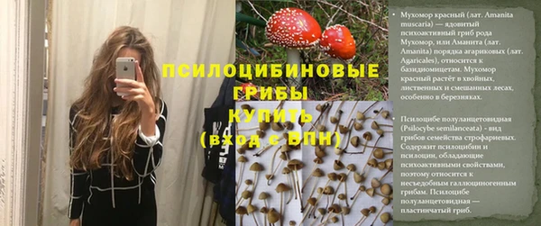 гидра Вязьма