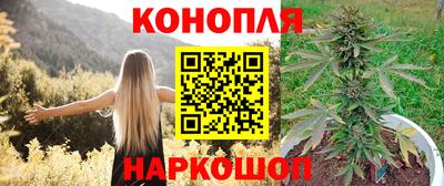 прущие крисы Гатчина