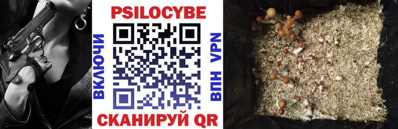 Галлюциногенные грибы мицелий  Губкин 