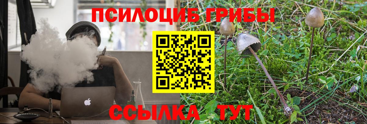 даркнет сайт  Губкин  Галлюциногенные грибы GOLDEN TEACHER 