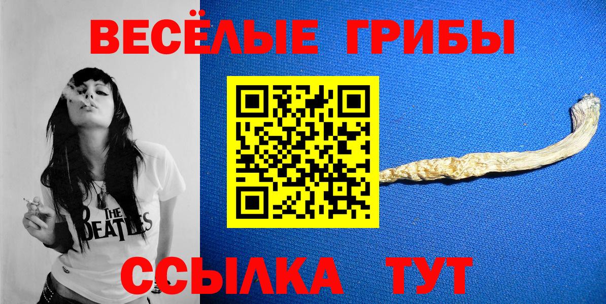 Губкин  Псилоцибиновые грибы мицелий  Вход с VPN 